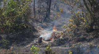 ललितपुरमा डडेलो निभाउने क्रममा घाइते भएका एक जनाको मृत्यु 