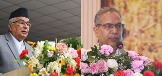 प्रतिनिधि सभा निर्वाचनमा राष्ट्रपति र उपराष्ट्रपति भएनन् सहभागी